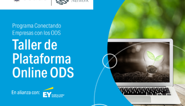 Programa Conectando Empresas con ODS: Taller Plataforma Online ODS
