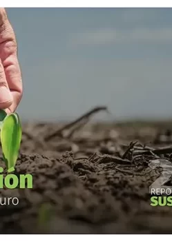 Grupo Lucci presentó su Reporte de Sustentabilidad 2025