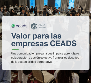 Valor para las empresas CEADS